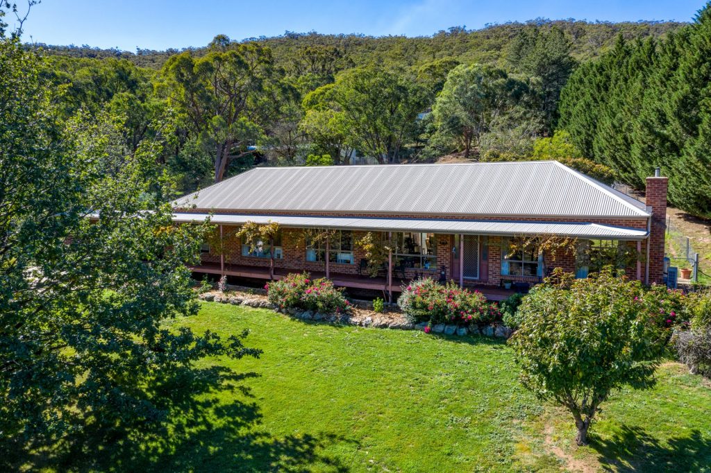 Steve Murphy property