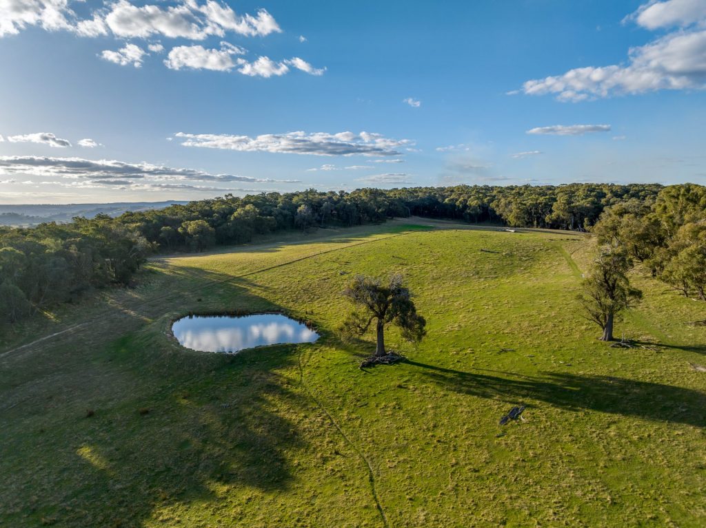 Jasmin Lukic property